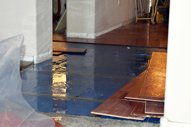 Professional Water Removal technician working in Stowell, TX